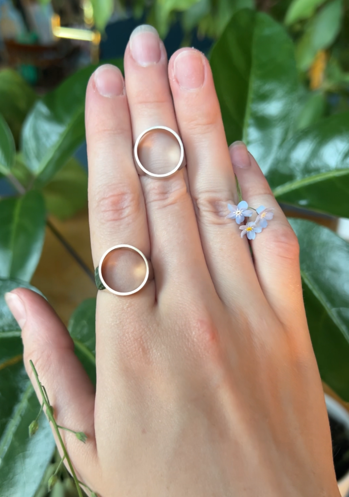 Both Signet Rings, one on fore finger, one on ring.