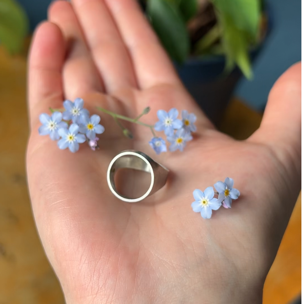 Silver Ring sitting in palm surrounded by blue forget-me-nots flowers